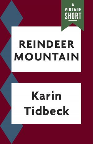 Book cover of Reindeer Mountain