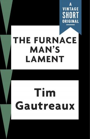 Cover of the book The Furnace Man's Lament by Gershom Scholem