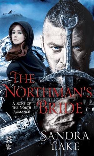 Cover of the book The Northman's Bride by Tami Hoag