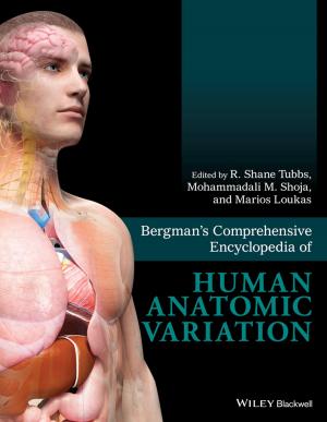 Cover of the book Bergman's Comprehensive Encyclopedia of Human Anatomic Variation by Vivek Ajmani