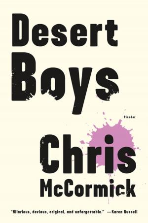 Cover of the book Desert Boys by James Sullivan