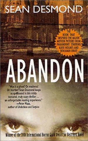 bigCover of the book Abandon by 