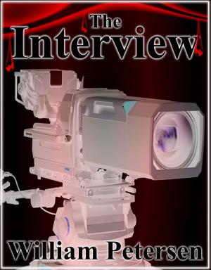 Cover of the book The Interview by Allister Remm