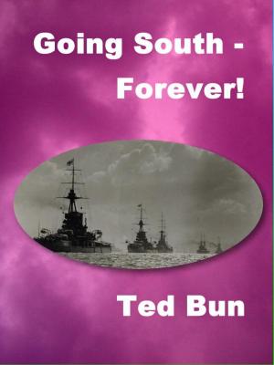 Cover of the book Going South: Forever by Guy Portman