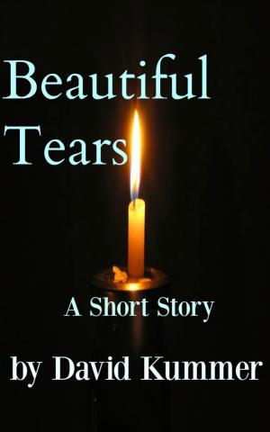 Cover of Beautiful Tears: A Contemporary Fiction Short Story by David Duane Kummer, David Duane Kummer