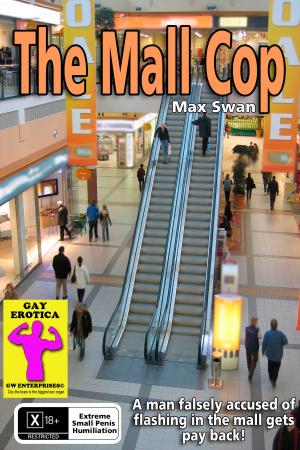Book cover of The Mall Cop