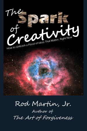 Cover of the book The Spark of Creativity by Kimberly Faith