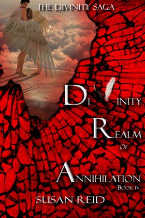 Cover of Divinity: Realm of Annihilation: Book Four