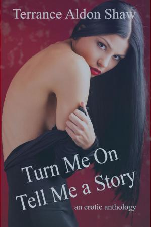 Book cover of Turn Me On--Tell Me a Story (An Erotic Anthology)