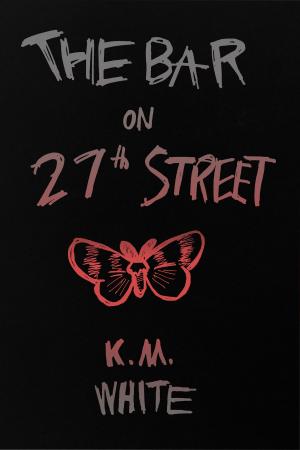 Cover of the book The Bar on 27th Street by Mark Von Kyling