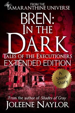 Cover of the book Bren: In the Dark (Tales of the Executioners) by James Erith