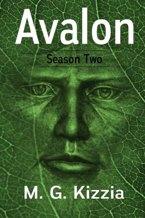 Cover of the book Avalon, Season Two by Maurice Broaddus
