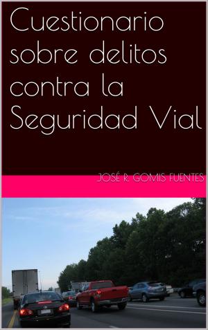 Cover of the book Cuestionario sobre delitos contra la Seguridad Vial by Douglas Silas