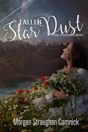 Cover of the book Fallen Star Dust by Natalia Napoli