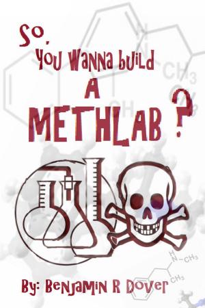 Cover of the book So, You Wanna Build A Methlab? by Suci Kreatif