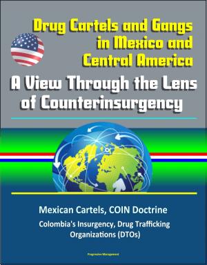 Cover of Drug Cartels and Gangs in Mexico and Central America: A View Through the Lens of Counterinsurgency - Mexican Cartels, COIN Doctrine, Colombia's Insurgency, Drug Trafficking Organizations (DTOs)