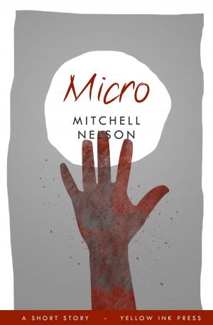 bigCover of the book Micro by 