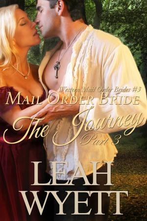 bigCover of the book Mail Order Bride - The Journey: Part three (Western Mail Order Brides: Book Three) by 
