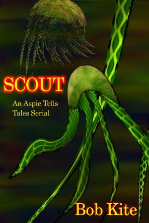 Cover of the book Scout by Lee Edward Födi