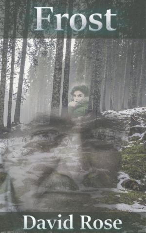 Cover of the book Frost by Laurie Kellogg