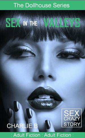 Cover of the book Sex In The Valleys by Charlie B.