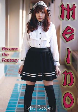 Cover of the book Meido by Lyka Bloom