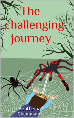 bigCover of the book The Challenging Journey by 