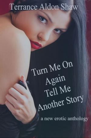 Book cover of Turn Me On Again--Tell Me Another Story (A New Erotic Anthology)