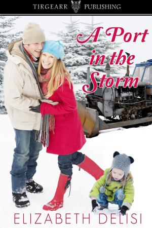 Cover of the book A Port in the Storm by Mary Nova