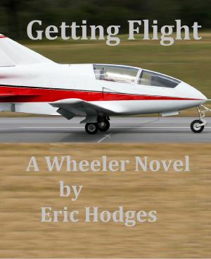 bigCover of the book Getting Flight by 