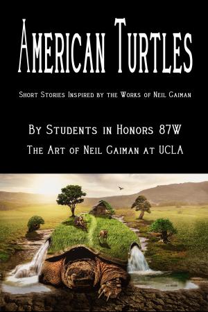 Book cover of American Turtles