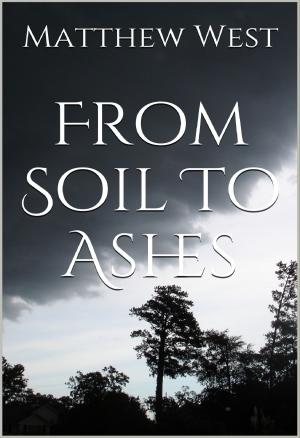 Book cover of From Soil To Ashes (Afterlife Series #1)