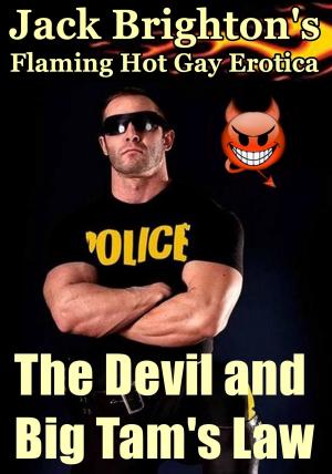 bigCover of the book The Devil and Big Tam's Law by 
