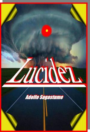 Cover of the book Lucidez by Tom Butler
