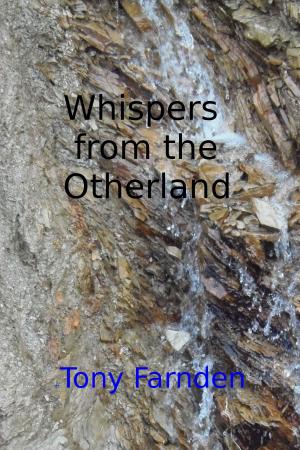 Cover of the book Whispers From The Otherworld by Tamam Kahn