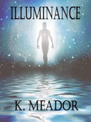 Book cover of Illuminance