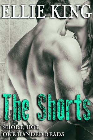 Book cover of The Shorts