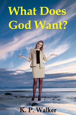 bigCover of the book What Does God Want? by 