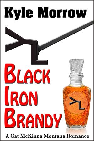 Cover of the book Black Iron Brandy by Jennifer Crusie