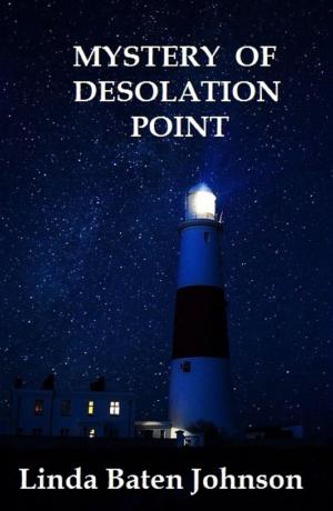 Cover of Mystery of Desolation Point