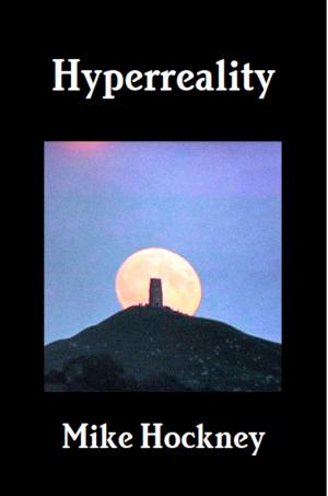 Cover of the book Hyperreality by Burt Wilson