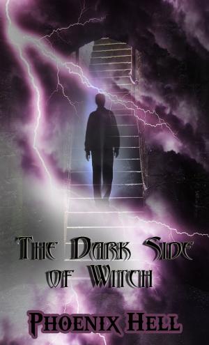 Cover of The Dark side of Witch