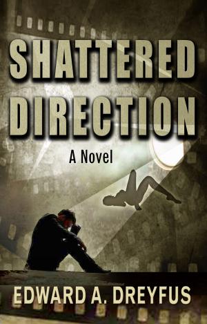 bigCover of the book Shattered Direction by 