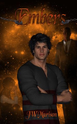 Book cover of Embers