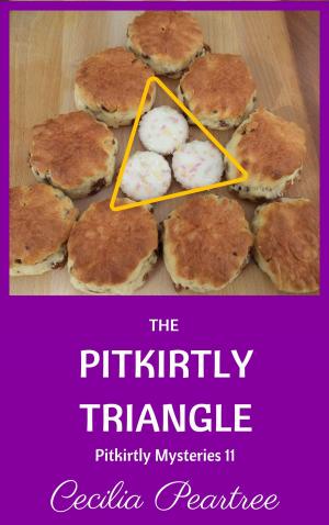 Cover of The Pitkirtly Triangle