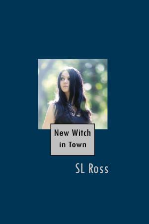 Cover of the book A New Witch in Town by J.C. Hutchins