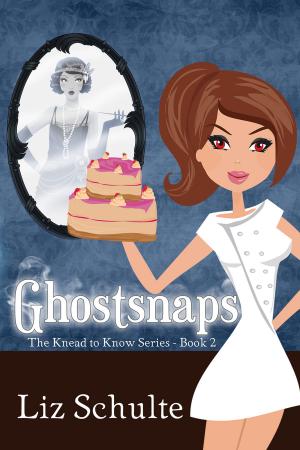 Book cover of Ghostsnaps