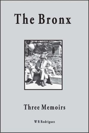 Cover of the book The Bronx Three Memoirs by Jean Zoubar