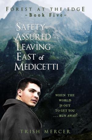 Book cover of Safety Assured Leaving East of Medicetti (Book 5 Forest at the Edge)