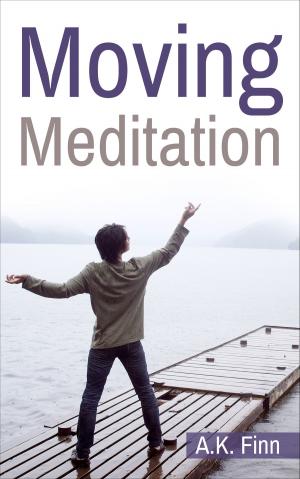 Cover of the book Moving Meditation by George Kirby